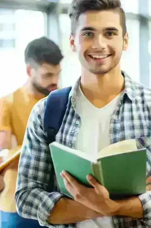 mivi